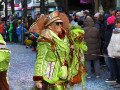 IMG 9557